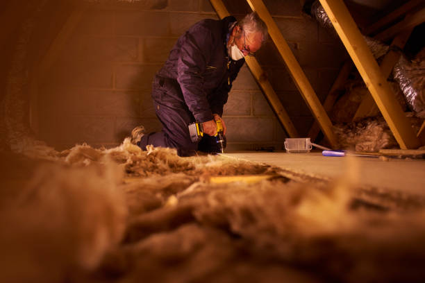 Attic Insulation Near Me in Edgewood, KY